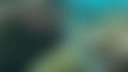 Batismo de mergulho em Búzios: como é, quanto custa e o que esperar