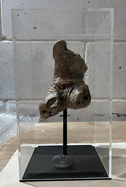 Decayed Torso