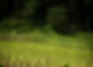 eduardo-prim-3u51-ulqicc-unsplash_cropped.jpg