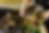freepik__adjust__89438.png