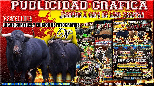 publicidad grafica,galerias y mas...