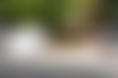 Psychedelic Preparation: Set And Setting