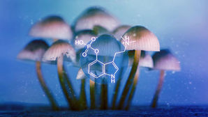 Psilocybin Use Linked To A Lower Risk Of Opioid Addiction