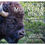 Thumbnail: Rocky Mountain Bison Photo Coffee Table Book By Lochlainn Seabrook  Sea Raven Press