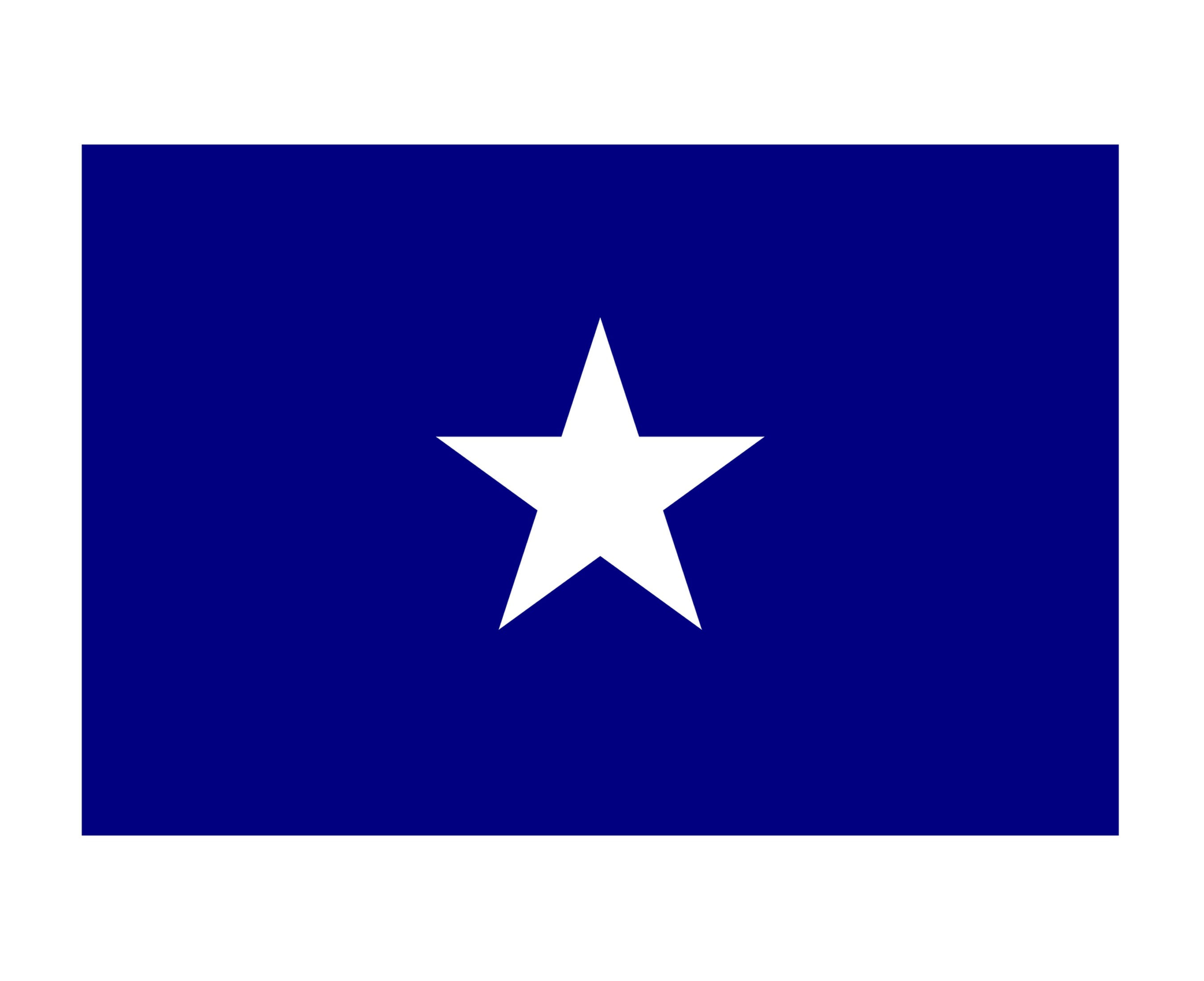 Bonnie Blue Flag