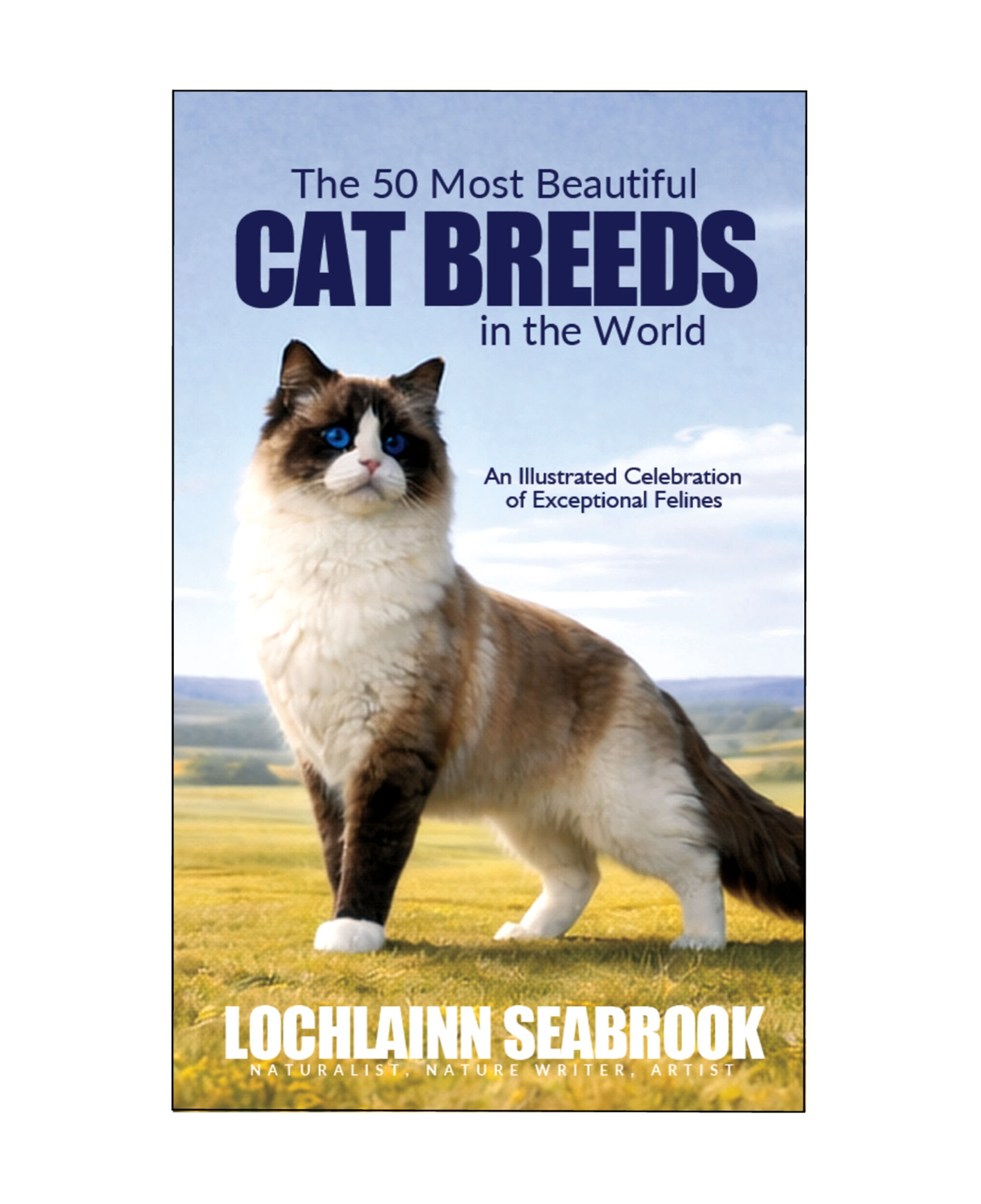 The 50 Most Beautiful Cat Breeds in the World