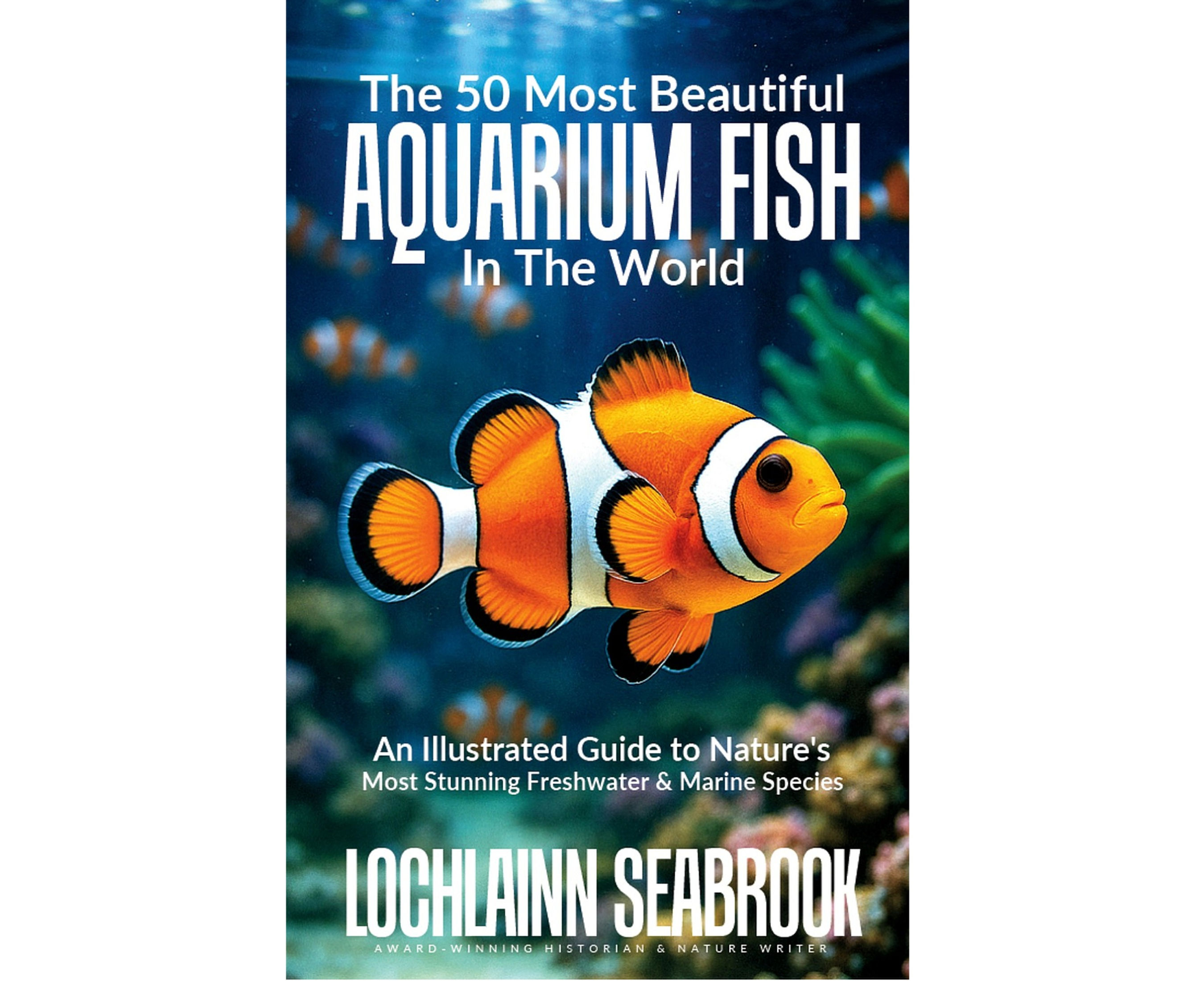 The 50 Most Beautiful Aquarium Fish in the World
