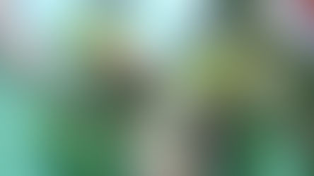 🇲🇽 “I Went Snorkeling in Ixtapa-Zihuatanejo… And Immediately Humiliated Myself”