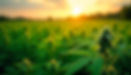 freepik__candid-image-photography-natural-textures-highly-r__36727.jpeg