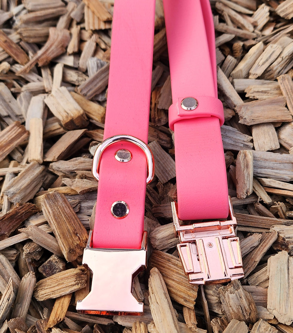 Thumbnail: Waterproof Collars