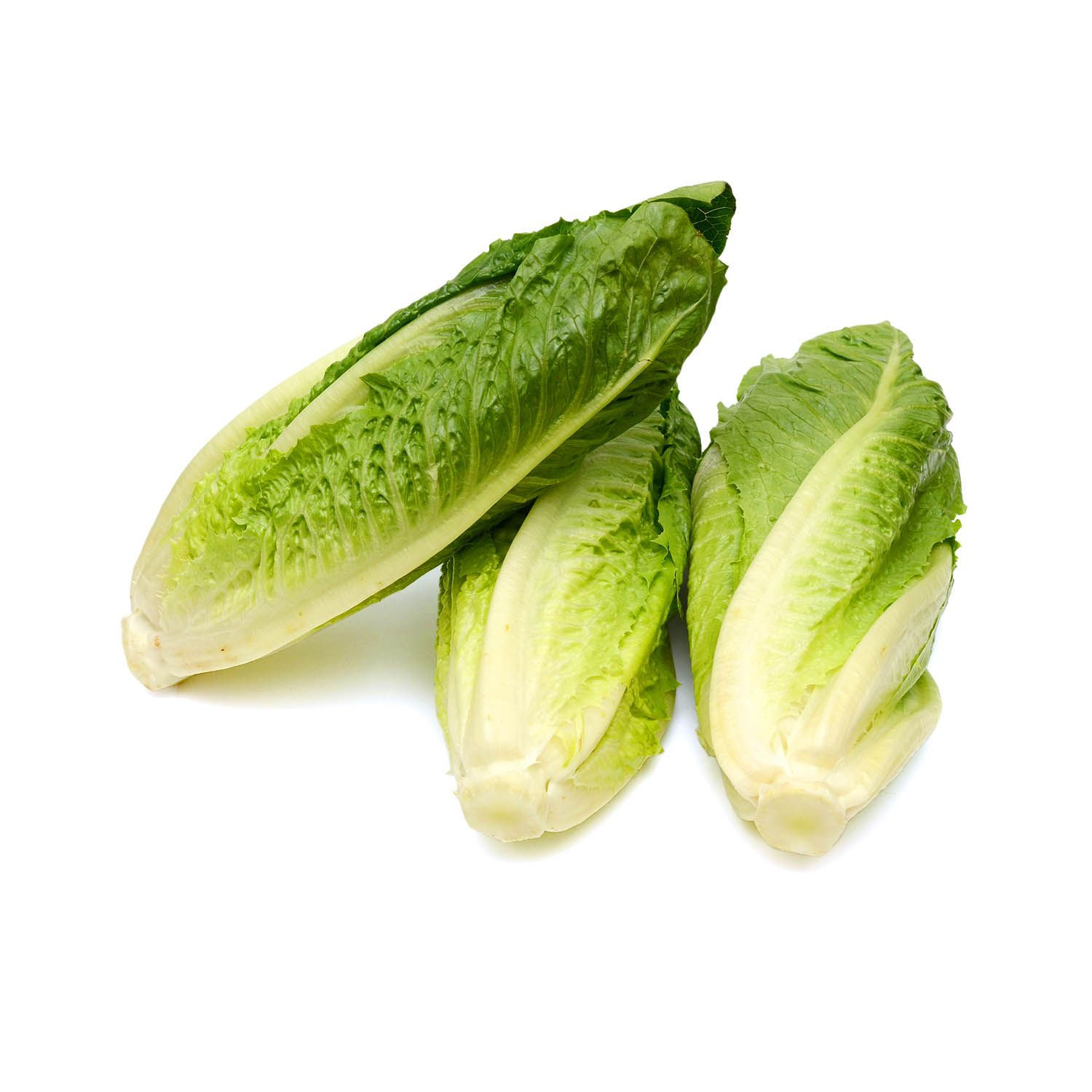 Romaine Hearts