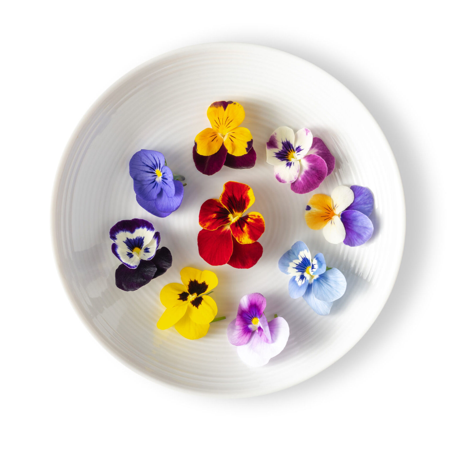 Edible Flower Pansy