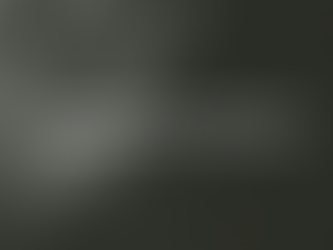 ¿Cómo lograr que los clientes amen mi marca? El Branding Compass