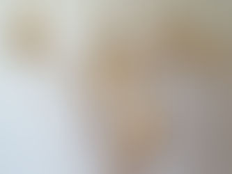 Exposition Métropole Art Salle d'Honneur de Salouël 16,17 et 18 Mai 2025