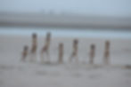 2011 01 01 017.JPG