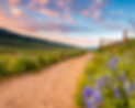 iStock-1458675388_edited.png