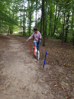 69496334_691191061304230_568303780909128