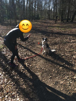 51989697_583258372097500_378465880251564