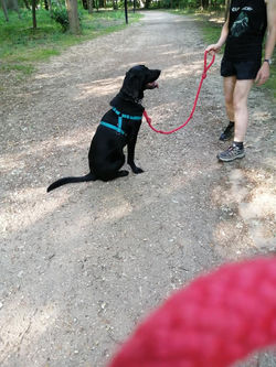 101872139_884155218674479_80217144989581