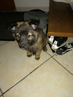 78496423_755501564873179_647773326711298