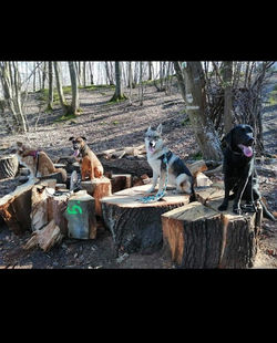 322552807_776244687164900_6814448515612962742_n