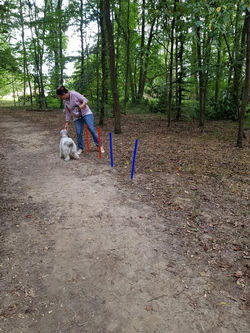 69581650_691191037970899_252355230299271