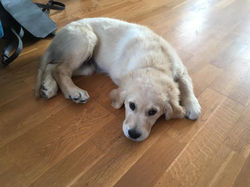 71792148_709713729451963_834479972012785