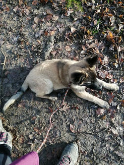 81749959_788561094900559_740633146023319