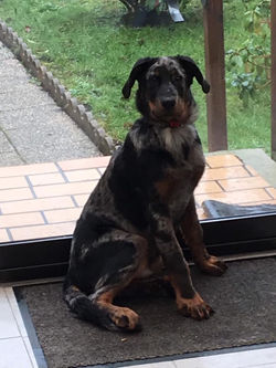 53486506_592037214552949_338846564876078