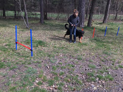 56935149_606323829790954_115685644197429