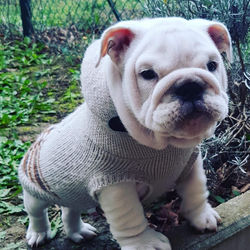 49816897_564943253929012_240945436647070