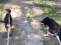 54729877_601103676979636_763890625000400