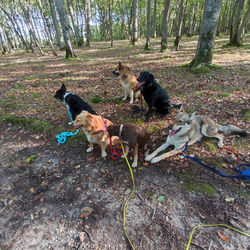 395369103_1054797275968482_1734425563205827118_n