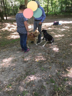 69772631_688076848282318_615576607317504