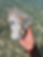 Thumbnail: Apophyllite Pyramid, Apophyllite, pink Stilbite on druzy blue Chalcedony
