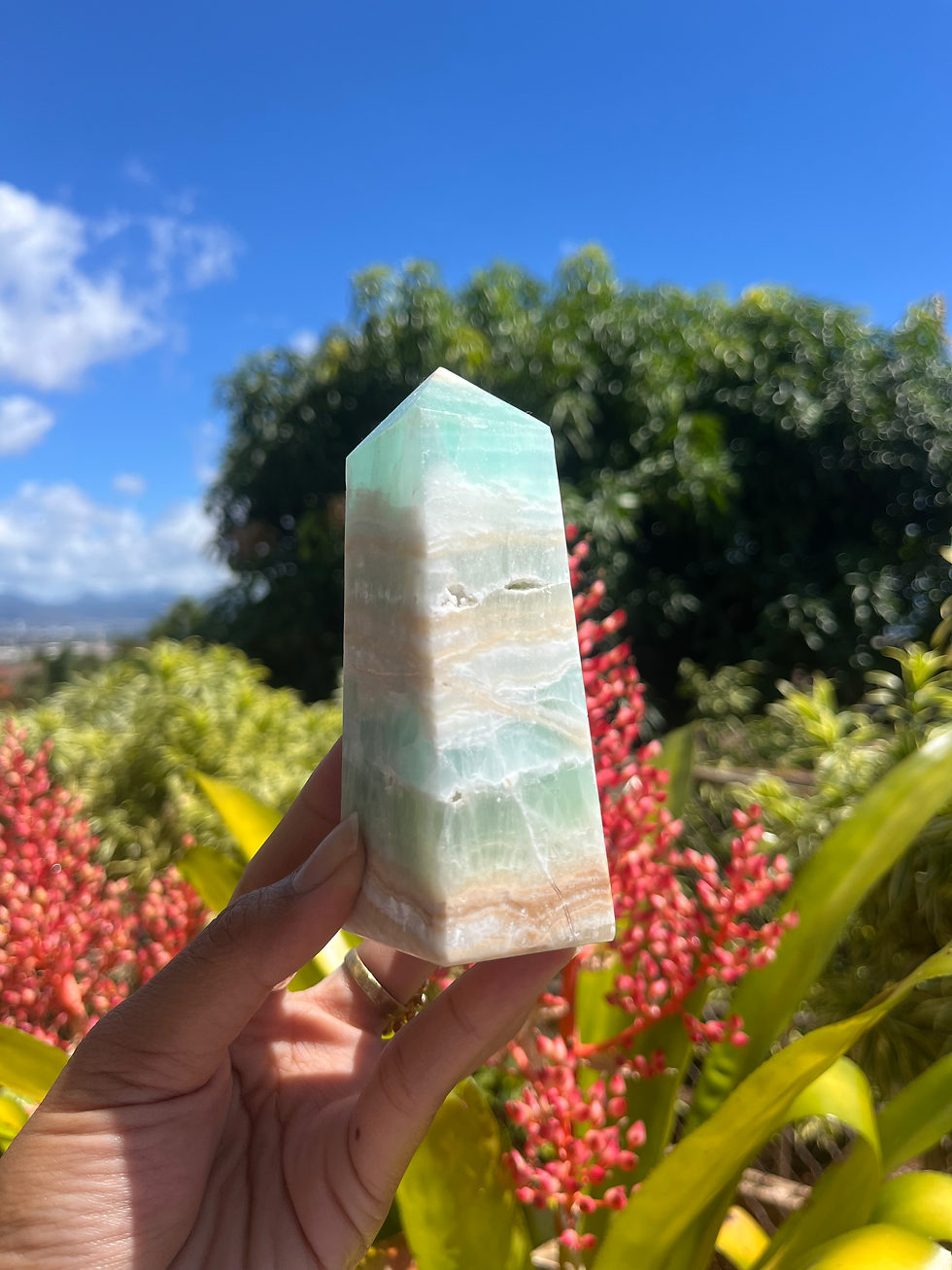 Thumbnail: Caribbean Calcite