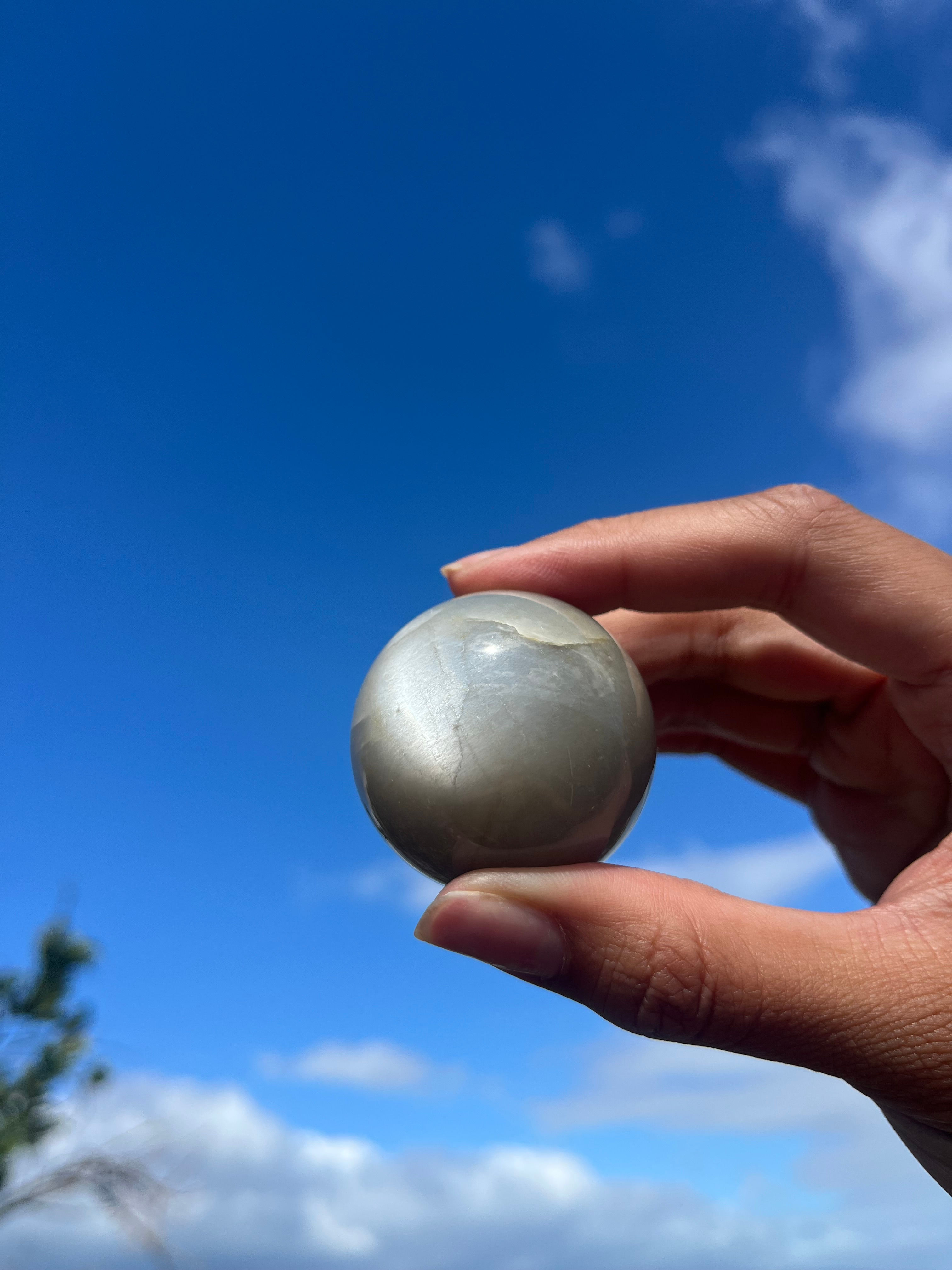 Gray Cat's Eye Moonstone