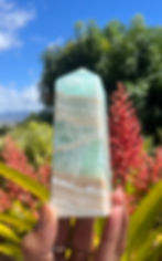 Thumbnail: Caribbean Calcite