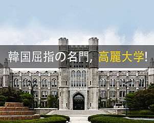 韓国の名門 高麗大学と延世大学 定期戦1998年 パンフレット2冊 고려대학교 / 高麗大学 : 留学SQUARE韓国大学入学