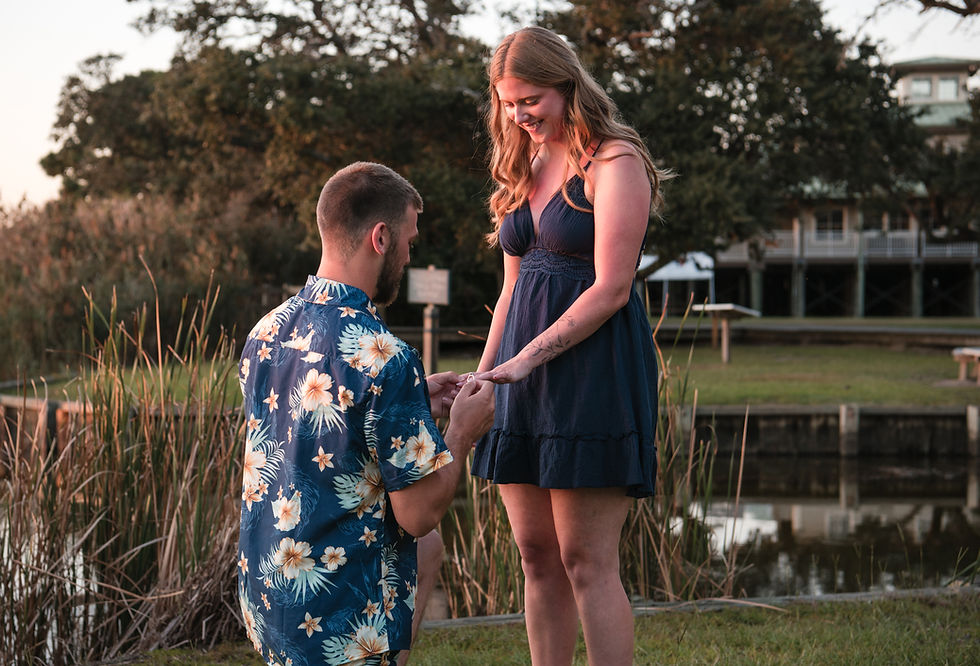 Whalehead proposal