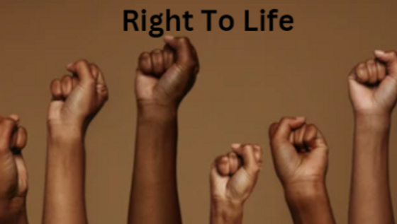 Right To Die Under Right To Life