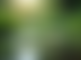 Enhancing Your Landscape with Ecological Pond Design