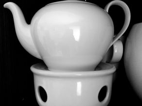 Tee für Hunde und Katzen?