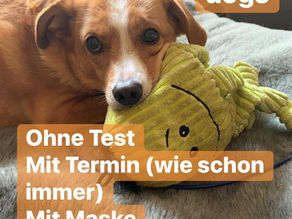 Einkauf weiterhin ohne Corona Test!