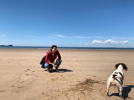 Beach walking