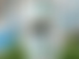 Nowy budynek mieszkalny w Berlinie-Mitte, fotografia autorstwa Amadé Hölzingera