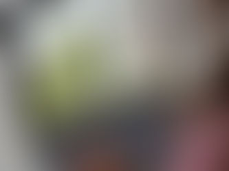 Polak sprawdzający dokumenty nieruchomości w Niemczech, symbol bezpieczeństwa i przygotowania do zakupu