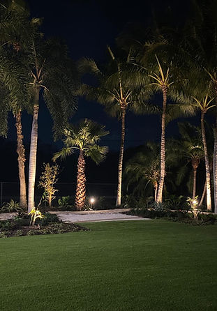 WhatsApp Image 2025-02-10 at 20.39.08.jpeg