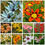 Thumbnail: An economical package of 10 kinds of bulbs