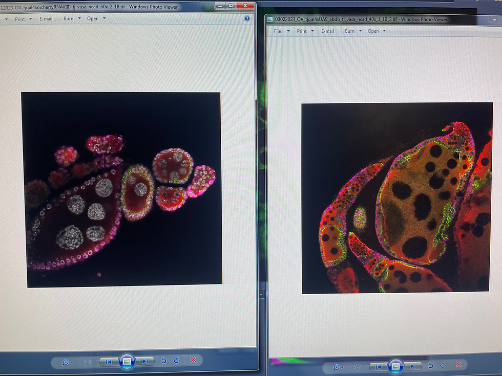 69948542773__4F8CFC5D-2153-448D-82BD-B3D7E3DB9289